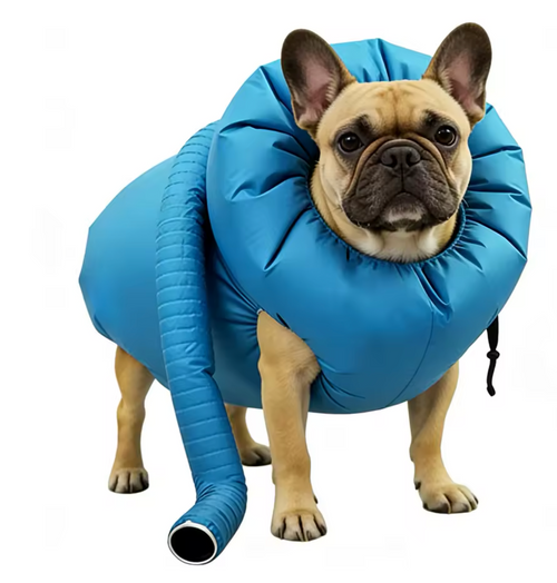 Bolsa de secado para mascotas